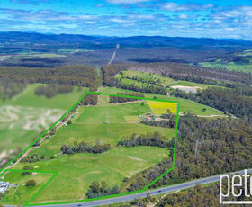Rural / Farming commercial property for sale at 7541 Bass Highway Sassafras TAS 7307