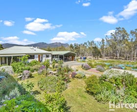 Rural / Farming commercial property for sale at 84 Wartook Rise Wartook VIC 3401