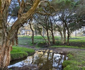Rural / Farming commercial property for sale at 731 Glen William Road Glen William NSW 2321