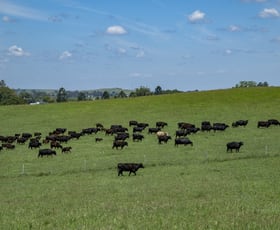 Rural / Farming commercial property for sale at 260 Backmede Road Backmede NSW 2470