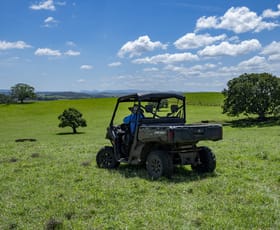 Rural / Farming commercial property for sale at 260 Backmede Road Backmede NSW 2470