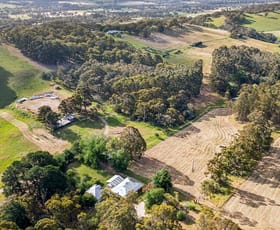 Rural / Farming commercial property for sale at 16 Bingfield Lane Meadows SA 5201