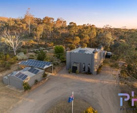 Rural / Farming commercial property for sale at 1271 Axe Creek Road Sedgwick VIC 3551