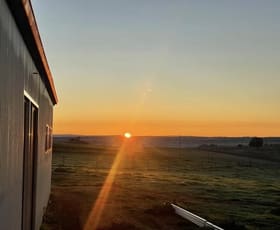 Rural / Farming commercial property for sale at 20 Lacey Place Young NSW 2594