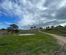 Rural / Farming commercial property for sale at 20 Lacey Place Young NSW 2594