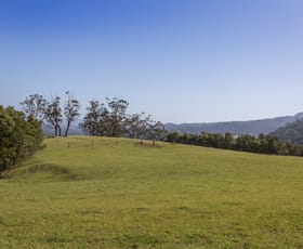 Rural / Farming commercial property for sale at 384 Foxground Road Foxground NSW 2534