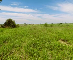 Rural / Farming commercial property sold at Surat QLD 4417