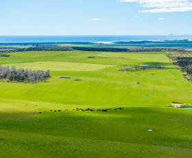 Rural / Farming commercial property for sale at . Waterhouse Road Boobyalla TAS 7264