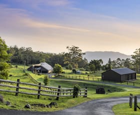 Rural / Farming commercial property for sale at 429A Main Western Road Tamborine Mountain QLD 4272