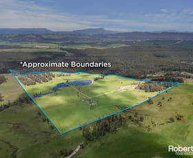 Rural / Farming commercial property for sale at Lot 1 Cornelius Road Sassafras TAS 7307