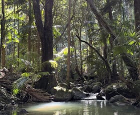 Rural / Farming commercial property for sale at 183 Killabakh Creek Road Killabakh NSW 2429