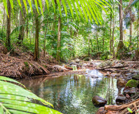 Rural / Farming commercial property for sale at 183 Killabakh Creek Road Killabakh NSW 2429
