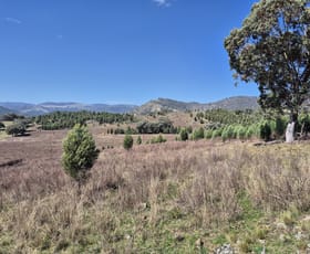 Rural / Farming commercial property for sale at 46 Worlds End Rd Yarrabin NSW 2850