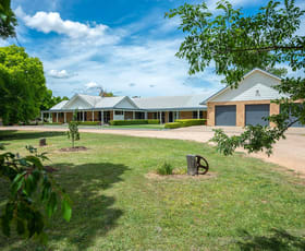 Rural / Farming commercial property for sale at 42 Cope Road Gulgong NSW 2852