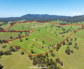 Rural / Farming commercial property sold at 244 Buchan Ensay Road Reedy Flat VIC 3895