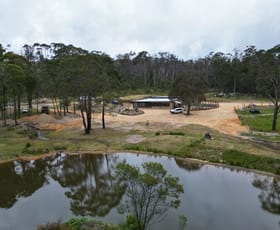 Rural / Farming commercial property for sale at 106 Warra Forest Road Mount Mitchell NSW 2365