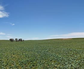Rural / Farming commercial property for sale at 'Cummings' Cudmore Gap Road Jamestown SA 5491