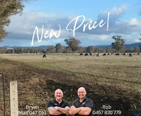 Rural / Farming commercial property for sale at 43 Robinson Road Violet Town VIC 3669