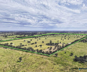 Rural / Farming commercial property for sale at 43 Robinson Road Violet Town VIC 3669