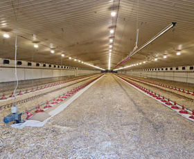 Rural / Farming commercial property for sale at Charlton VIC 3525
