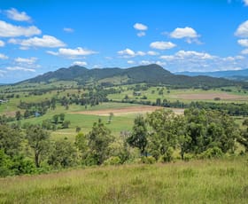 Rural / Farming commercial property for sale at 264 Bowman Farm Road Gloucester NSW 2422