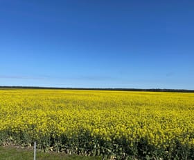 Rural / Farming commercial property for sale at Jim's Oven, 490 Jim's Oven Road Merivale WA 6450