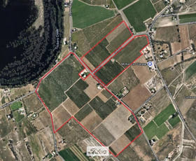 Rural / Farming commercial property for sale at 310 Delta Road Curlwaa NSW 2648