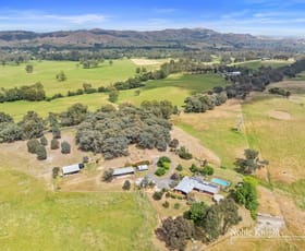 Rural / Farming commercial property for sale at 259 Murrindindi Road Murrindindi VIC 3717