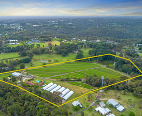 Rural / Farming commercial property for sale at 55-57 & 59 Quarry Road Dural NSW 2158