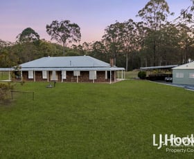Rural / Farming commercial property sold at 803-843 Quinzeh Creek Road Cedar Creek QLD 4207