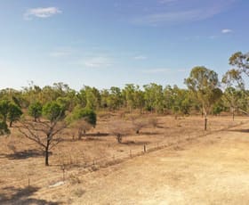 Rural / Farming commercial property sold at Lot 1 Old Dalrymple Road Breddan QLD 4820