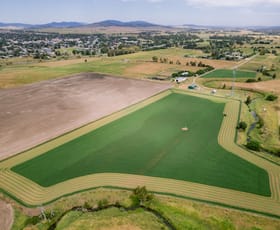 Rural / Farming commercial property for sale at Lot 1 Morse St Scone NSW 2337