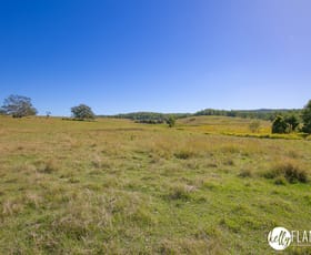Rural / Farming commercial property for sale at 114 Hughes Access Collombatti NSW 2440
