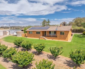 Rural / Farming commercial property sold at 1146 Kingsvale Road Young NSW 2594