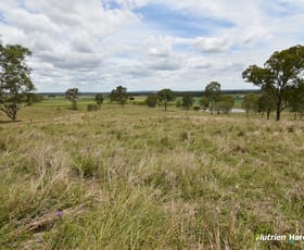 Rural / Farming commercial property sold at Lot 2/4 Mandersons Road Mcilwraith QLD 4671