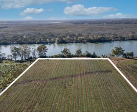 Rural / Farming commercial property for sale at Lot 103 Kingston Road New Residence SA 5333