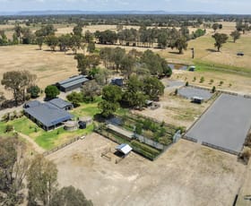 Rural / Farming commercial property sold at 231 North Road Benalla VIC 3672