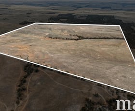 Rural / Farming commercial property for sale at Section 22 Angle Road Brownlow SA 5374