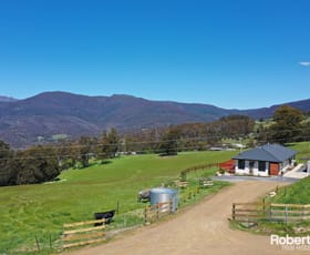 Rural / Farming commercial property for sale at 119 Moss Beds Road Lachlan TAS 7140