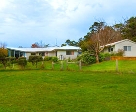 Rural / Farming commercial property for sale at 249 Harewood Road Scotsdale WA 6333