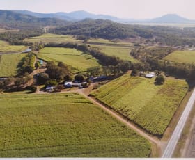 Rural / Farming commercial property sold at 268 Eton/Homebush rd Eton QLD 4741