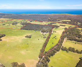 Rural / Farming commercial property for sale at Lot 61 Caves Road Burnside WA 6285