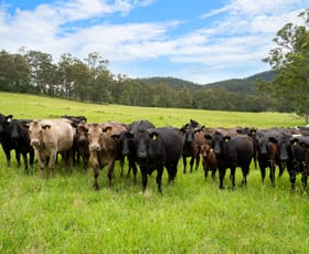 Rural / Farming commercial property sold at 103 Gap Hill Road Stroud NSW 2425