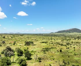 Rural / Farming commercial property for sale at "Green Yards" Scotts Road Theodore QLD 4719