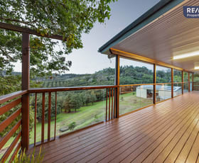 Rural / Farming commercial property for sale at 49 Gate Road Canina QLD 4570