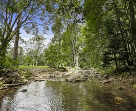 Rural / Farming commercial property for sale at 192 Booka Road Upper Crystal Creek NSW 2484
