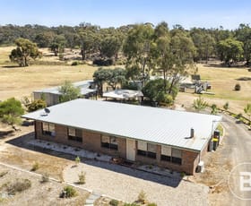 Rural / Farming commercial property for sale at 195 Mosquito Road Maryborough VIC 3465
