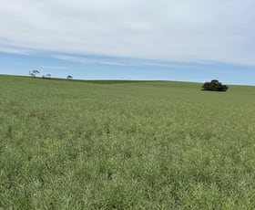 Rural / Farming commercial property for sale at 2117 Senior Road Senior SA 5268