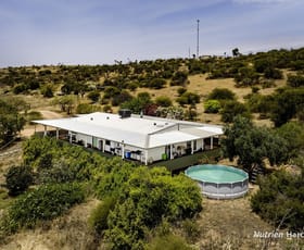 Rural / Farming commercial property sold at 161 Harvey Road East Bowes WA 6535