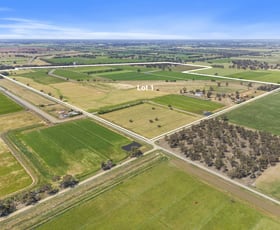 Rural / Farming commercial property for sale at Lot 1/2898 Murray Valley Highway Yielima VIC 3638
